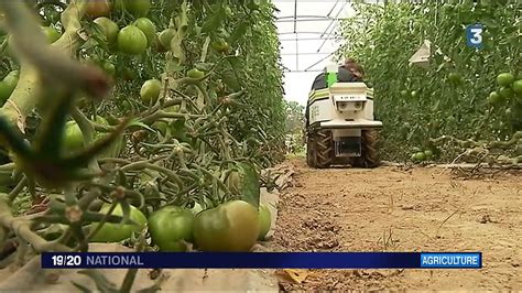 Auray 56 Révolution Robotique Dans L Agriculture Fdesouche