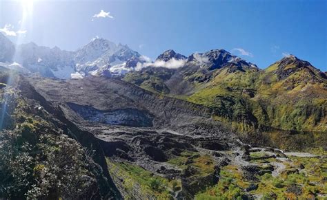 Himalaya Moos ist älteste landlebende Pflanze Takakia Moos zweigte