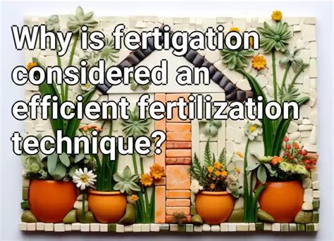 Why Is Fertigation Considered An Efficient Fertilization Technique Gardening Gov Capital