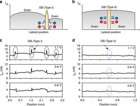 Two Gb Types Revealed In Polycrystalline Mapbi Thin Film Ab Proposed