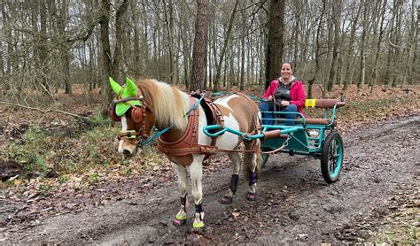 Annika Van Den Hout Denken In Oplossingen” Mensport