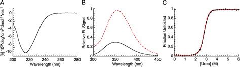 Highly Polarized C Terminal Transition State Of The Leucine Rich Repeat