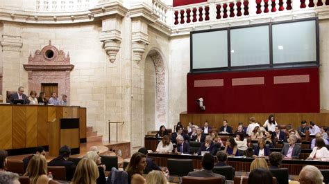 El Pleno Del Parlamento Andaluz Aborda Este Mi Rcoles La Situaci N De