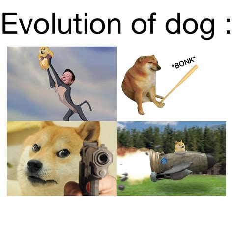 Evolution of dog : | @FunnyFatGoat | Memes