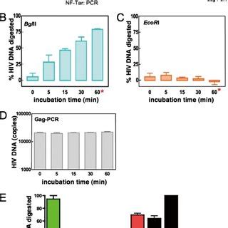 Hiv Replication Is Inhibited By Sirna Targeting The Hiv Promoter A