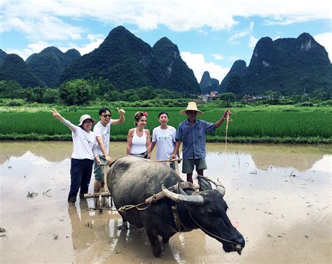 yangshuo introduction  yanghsuo travel guide