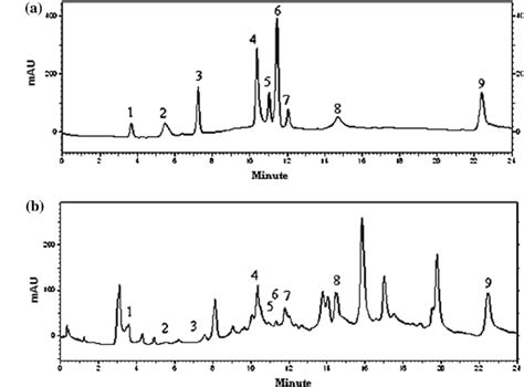 Hplc Chromatograms Of A Extract Of Peppermint And B Mixture Of Standard Download Scientific