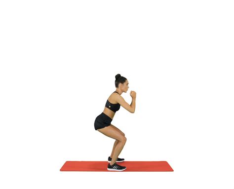 Half Squat - Low Impact Exercise - Sweat