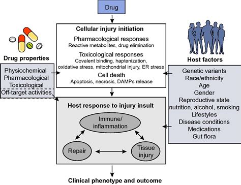 Drug Induced Liver Injury Interactions Between Drug Properties And