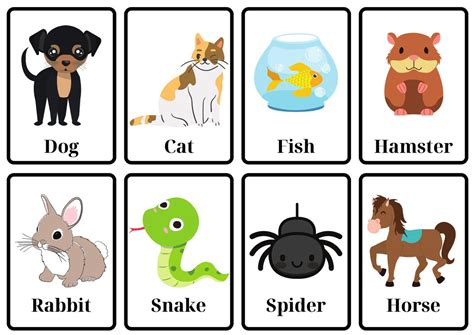 Pet Flashcards - Etsy