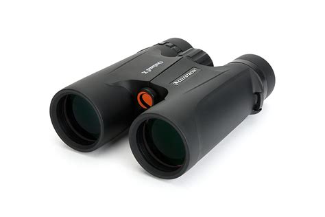 Best Binoculars for Birding 2020 - The Ultimate Guide - Todays Cacher