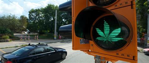 Cannabis Legalisierung mit der Ampel Es ist Zeit für eine neue