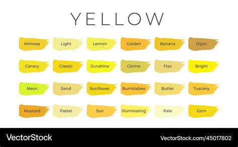 Yellow paint color swatches with shade names on Vector Image