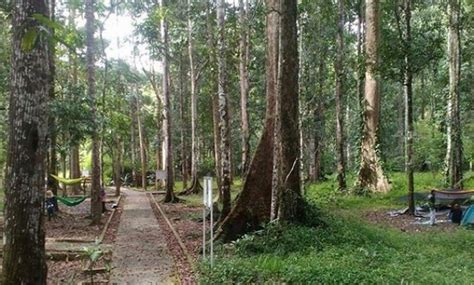 6 Tempat Wisata Di Aimas Kabupaten Sorong Sering Jalan