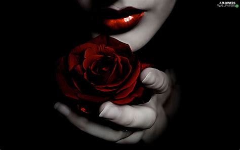 Women Red Hot Rose Lips Red Rose Blume Flower Hd Wallpaper Pxfuel