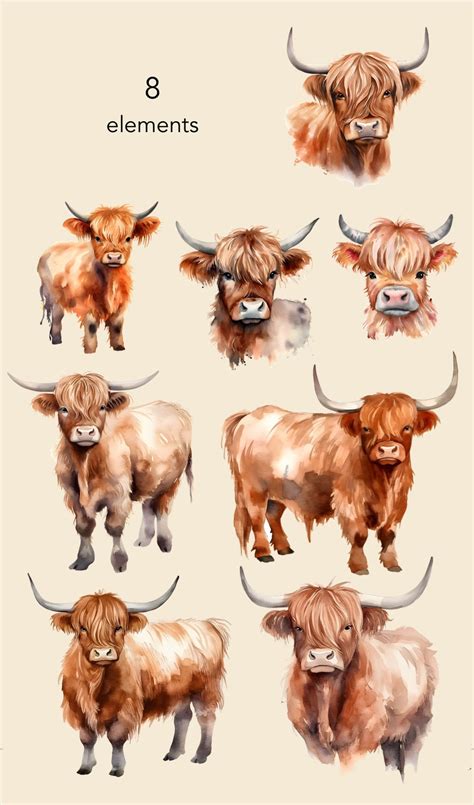 Watercolor Highland Cows Clipart Animal Clipart 300 Dpi For Personal