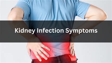 Kidney Infection Symptoms: 7 Alarming Signs You Can't Ignore