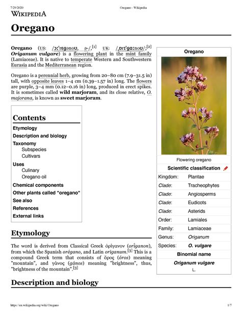 Oregano Plants Oregano Flowering Oregano Scientific Classification