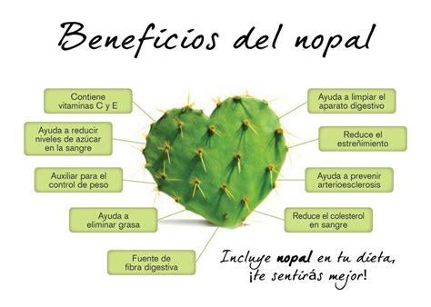 Pin de raquel ramari en infografías Beneficios del nopal Frutas y