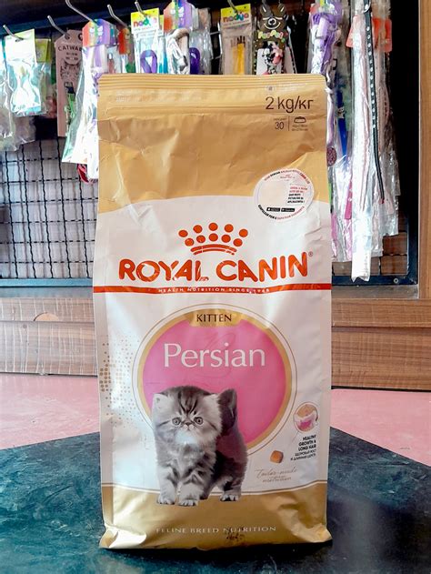 Jual Royal Canin Kitten Persian Makanan Anak Kucing Persia Kg Shopee