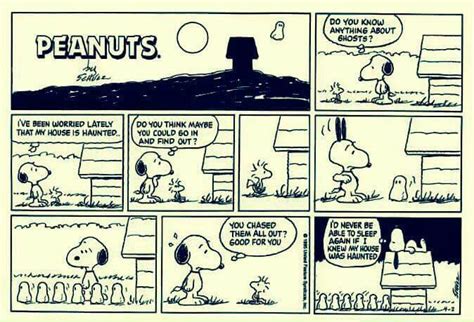 Pin By Susan Stewart On Snoopy And The Gang Snoopy Funny Peanuts