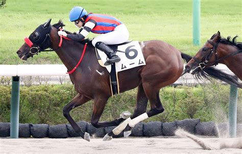 【中山1r・2歳未勝利】藤田菜七子騎手がムームで逃げ切り今年9勝目！「出していこうと思っていた」 スポーツ報知