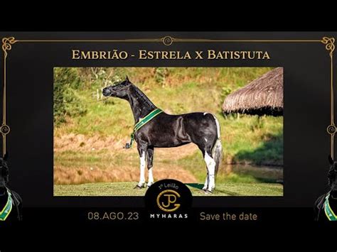 Lote Leil O Myharas Embri O Estrela Cass X Batistuta Cass Youtube