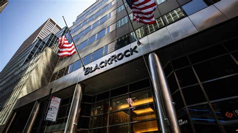 Desmontando A BlackRock El Gestor De Activos Financieros Que Domina El