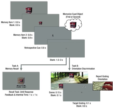 Example Trial Sequence In Experiment 3 Trials In Experiment 3 Were Download Scientific Diagram