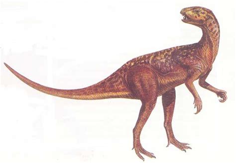 Hétérodontosaurus