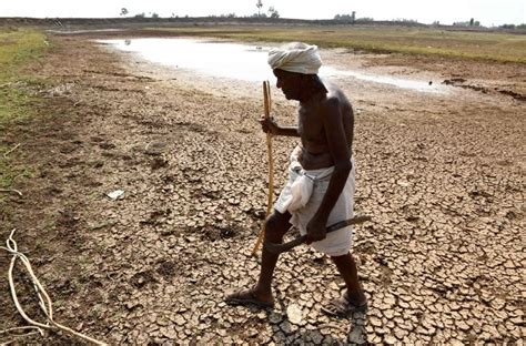 Farmer Suicidesover 12000 Maharashtra Farmers Committed Suicide In Last 3 Years Exposing State