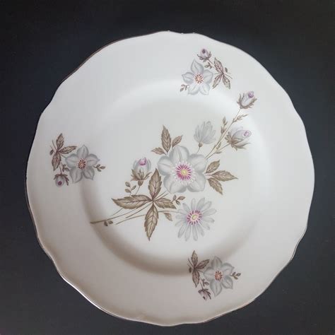 Home Living Platinum Edge Vintage German Bone China Franconia