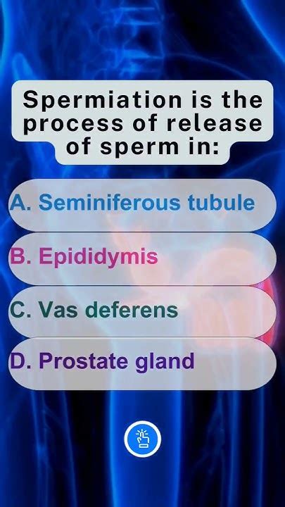 Spermiation is the process of release of sperm in:?- MCQ #neet # ...