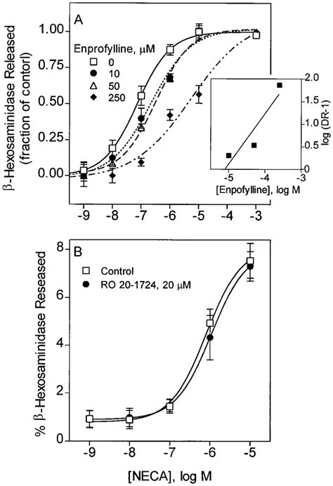 Effects Of Enprofylline And Ro On Hexosaminidase Release From