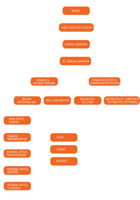 Organizational Structure Drukda Private Limited