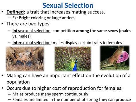 The Theory Of Natural Selection Ppt Download