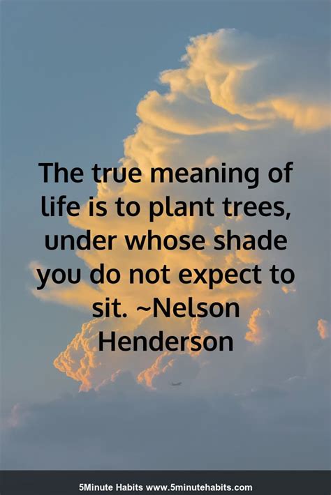 The True Meaning Of Life Is To Plant Trees Under Whose Shade You Do