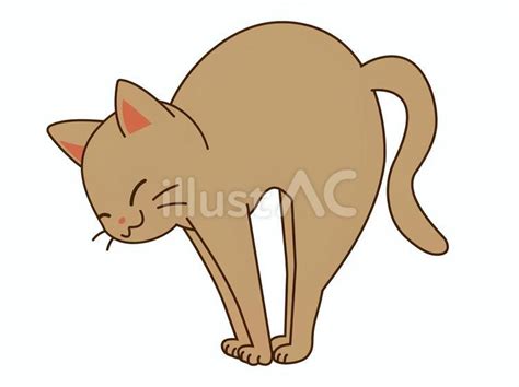 上に伸びる茶猫イラスト No 23508338／無料イラストフリー素材なら「イラストac」