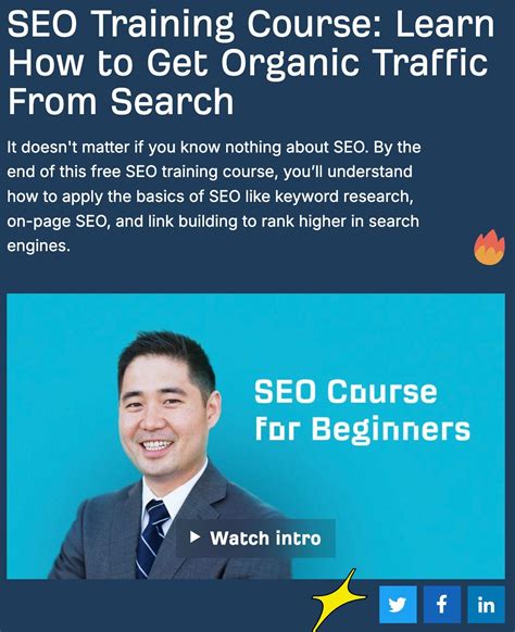 The New Digital Gold Rush: How Specialized Strategies are Transforming Online Visibility 7