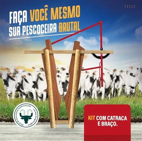 Kit Catraca E Braço Para Produção De Pescoceira Brete Brutal