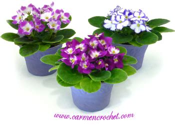 African Violet Flowerpot Free Crochet Pattern Carmen Crochet