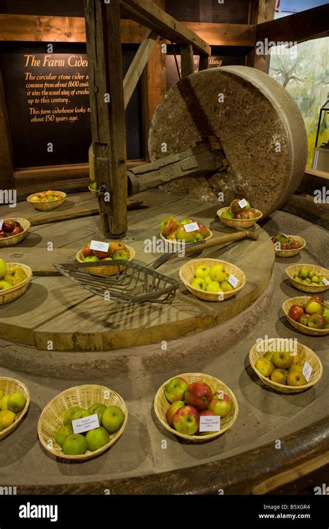 Hereford Cider Museum, Herefordshire, UK Stock Photo - Alamy