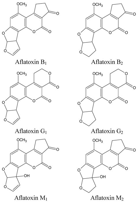 Toxins Free Full Text Aflatoxin B1 In Affecting Broilers