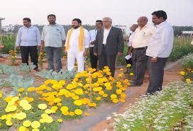 Dr Y S R Horticultural University DYSRHU West Godavari Courses