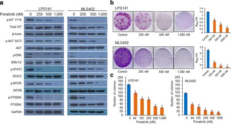 Ponatinib Treatment Inhibits Kit Signaling And Clonogenic Growth Of