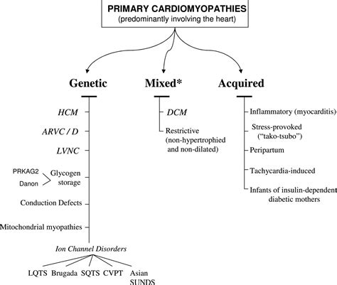 Types Of Cardiomyopathies