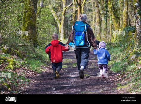 Dos Ni Os Caminando Por El Bosque Tomados De Las Manos Fotos E Im Genes