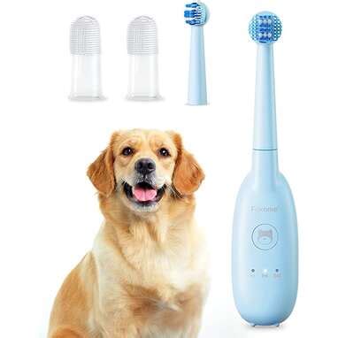 11 Best Dog Toothbrushes On Amazon - DodoWell - The Dodo