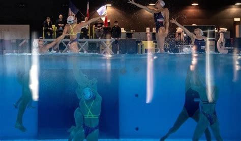 JO 2024 à Paris Natation artistique plongeon water polo le