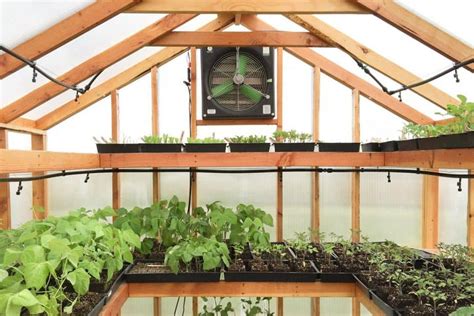 5 Tips for Greenhouse Ventilation and Cooling - Greenhouse Info